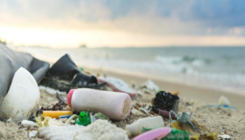 Pollution Prevention & Control